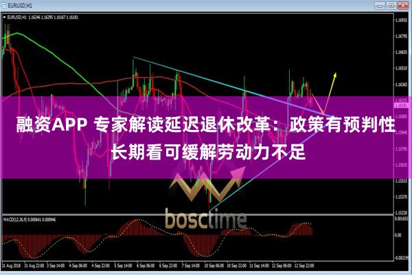 融资APP 专家解读延迟退休改革:政策有预判性 长期看可缓解劳动力不足