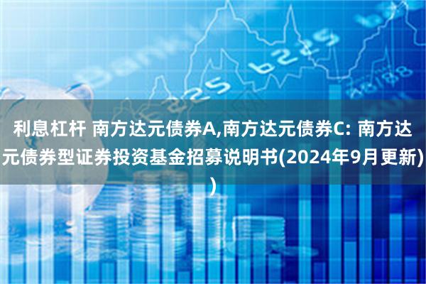 利息杠杆 南方达元债券A,南方达元债券C: 南方达元债券型证券投资基金招募说明书(2024年9月更新)