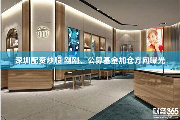深圳配资炒股 刚刚，公募基金加仓方向曝光