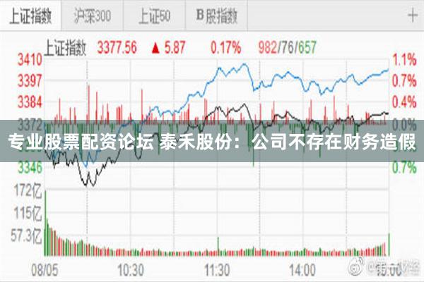 专业股票配资论坛 泰禾股份：公司不存在财务造假