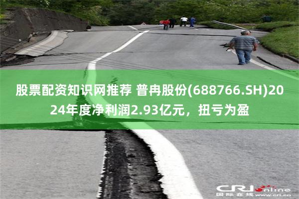 股票配资知识网推荐 普冉股份(688766.SH)2024年度净利润2.93亿元，扭亏为盈