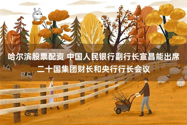 哈尔滨股票配资 中国人民银行副行长宣昌能出席二十国集团财长和央行行长会议