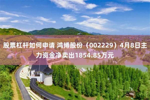 股票杠杆如何申请 鸿博股份（002229）4月8日主力资金净卖出1854.85万元