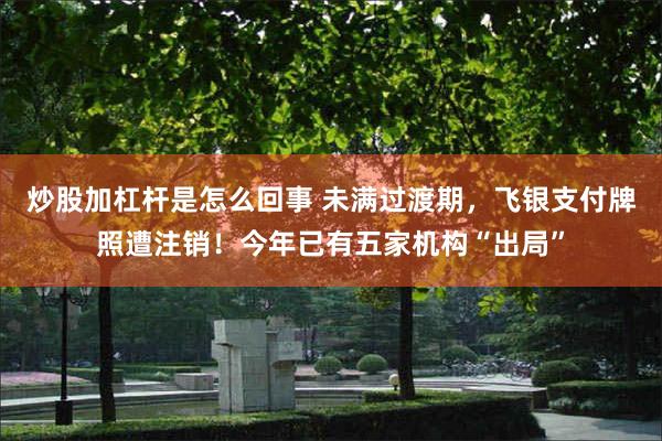 炒股加杠杆是怎么回事 未满过渡期，飞银支付牌照遭注销！今年已有五家机构“出局”