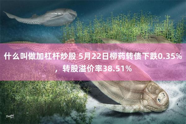 什么叫做加杠杆炒股 5月22日柳药转债下跌0.35%，转股溢价率38.51%