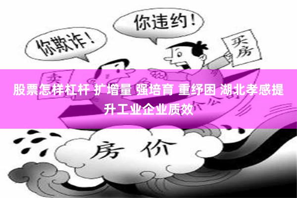 股票怎样杠杆 扩增量 强培育 重纾困 湖北孝感提升工业企业质效