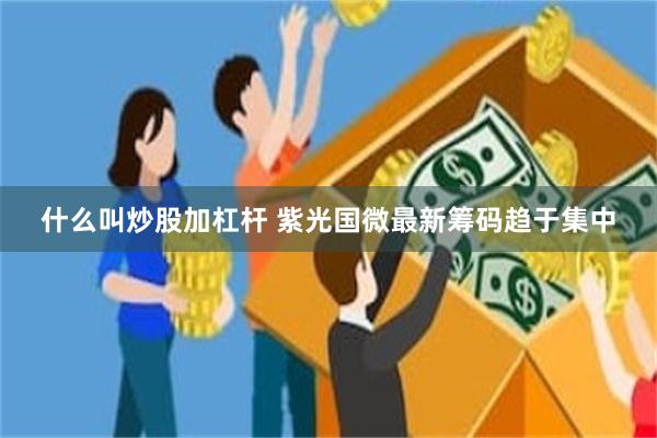 什么叫炒股加杠杆 紫光国微最新筹码趋于集中