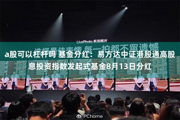 a股可以杠杆吗 基金分红：易方达中证港股通高股息投资指数发起式基金8月13日分红