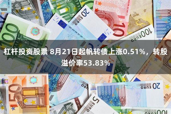 杠杆投资股票 8月21日起帆转债上涨0.51%，转股溢价率53.83%