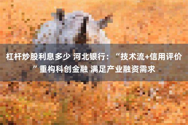 杠杆炒股利息多少 河北银行:“技术流+信用评价”重构科创金融 满足产业融资需求