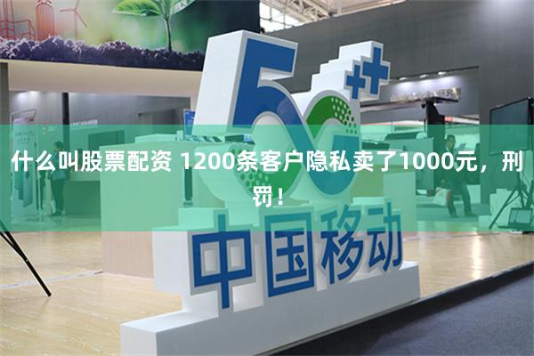 什么叫股票配资 1200条客户隐私卖了1000元，刑罚！