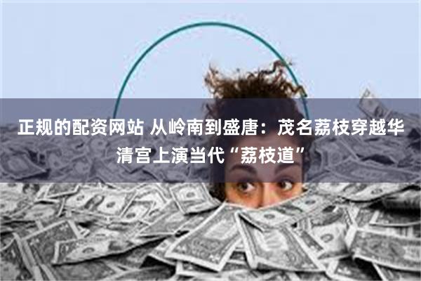 正规的配资网站 从岭南到盛唐：茂名荔枝穿越华清宫上演当代“荔枝道”