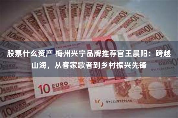 股票什么资产 梅州兴宁品牌推荐官王晨阳:跨越山海,从客家歌者到乡村振兴先锋