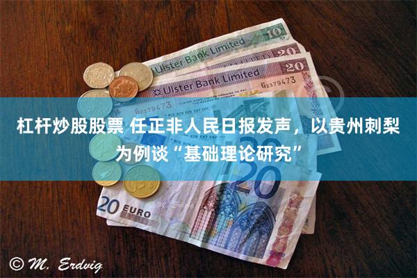 杠杆炒股股票 任正非人民日报发声，以贵州刺梨为例谈“基础理论研究”