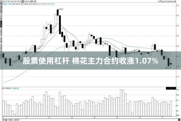 股票使用杠杆 棉花主力合约收涨1.07%