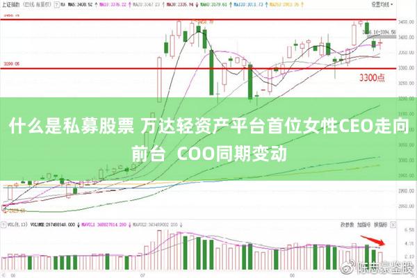 什么是私募股票 万达轻资产平台首位女性CEO走向前台  COO同期变动