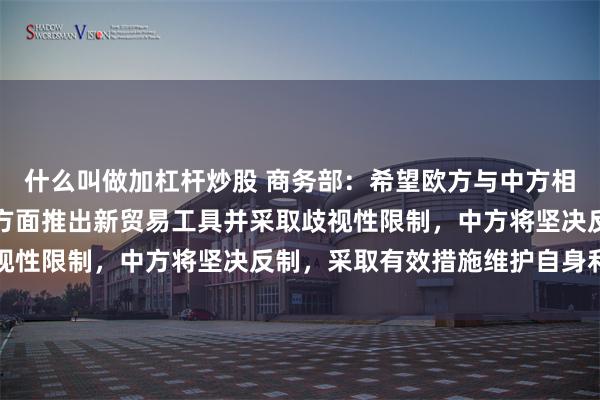 什么叫做加杠杆炒股 商务部：希望欧方与中方相向而行！如欧方执意单方面推出新贸易工具并采取歧视性限制，中方将坚决反制，采取有效措施维护自身利益