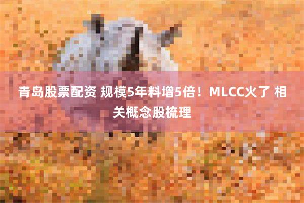 青岛股票配资 规模5年料增5倍！MLCC火了 相关概念股梳理