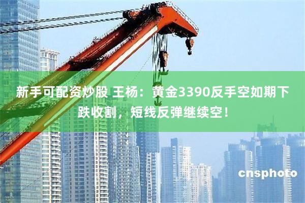 新手可配资炒股 王杨:黄金3390反手空如期下跌收割,短线反弹继续空!