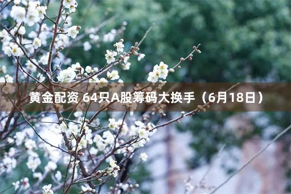 黄金配资 64只A股筹码大换手(6月18日)