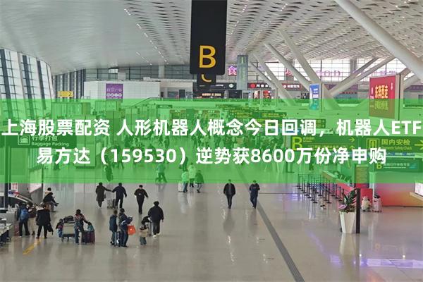 上海股票配资 人形机器人概念今日回调，机器人ETF易方达（159530）逆势获8600万份净申购