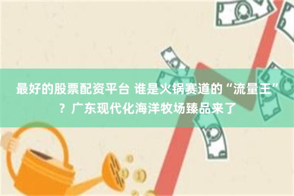最好的股票配资平台 谁是火锅赛道的“流量王”？广东现代化海洋牧场臻品来了