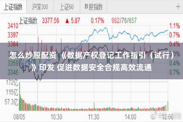 怎么炒股配资 《数据产权登记工作指引（试行）》印发 促进数据安全合规高效流通