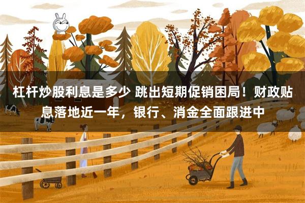 杠杆炒股利息是多少 跳出短期促销困局！财政贴息落地近一年，银行、消金全面跟进中