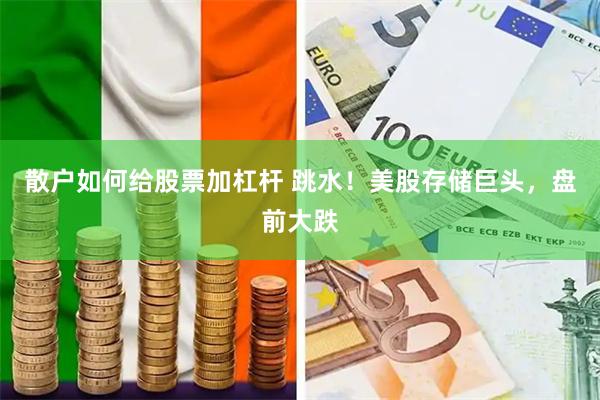 散户如何给股票加杠杆 跳水！美股存储巨头，盘前大跌