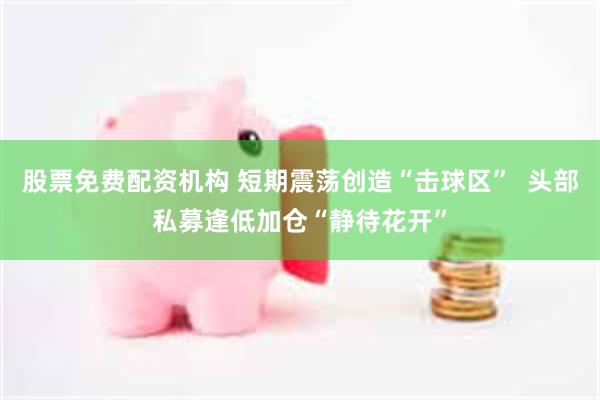 股票免费配资机构 短期震荡创造“击球区” 头部私募逢低加仓“静待花开”