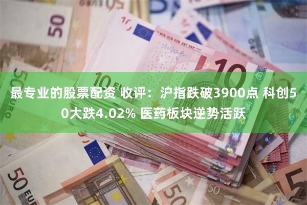 最专业的股票配资 收评：沪指跌破3900点 科创50大跌4.02% 医药板块逆势活跃