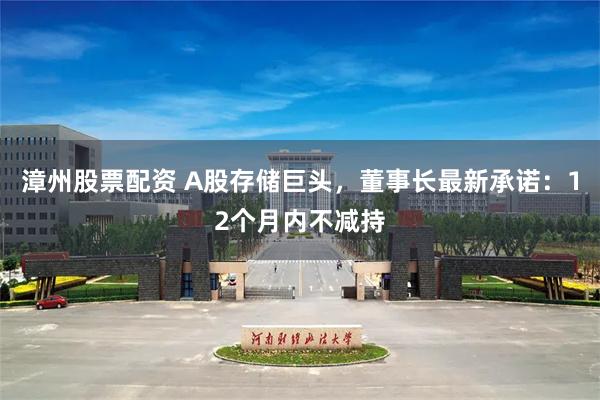 漳州股票配资 A股存储巨头，董事长最新承诺：12个月内不减持