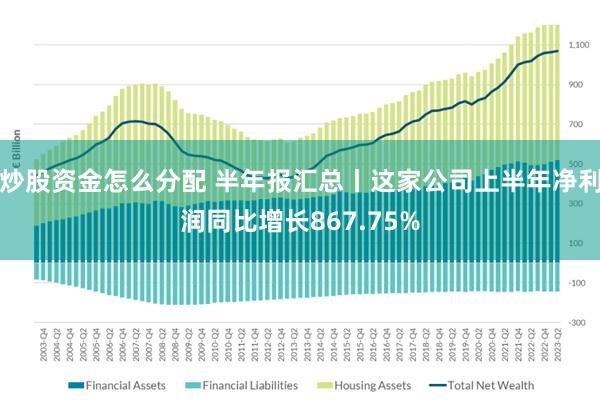炒股资金怎么分配 半年报汇总丨这家公司上半年净利润同比增长867.75%
