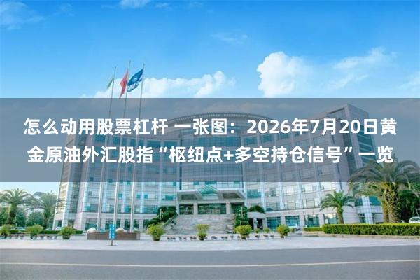 怎么动用股票杠杆 一张图：2026年7月20日黄金原油外汇股指“枢纽点+多空持仓信号”一览