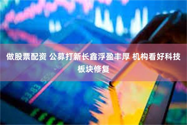 做股票配资 公募打新长鑫浮盈丰厚 机构看好科技板块修复