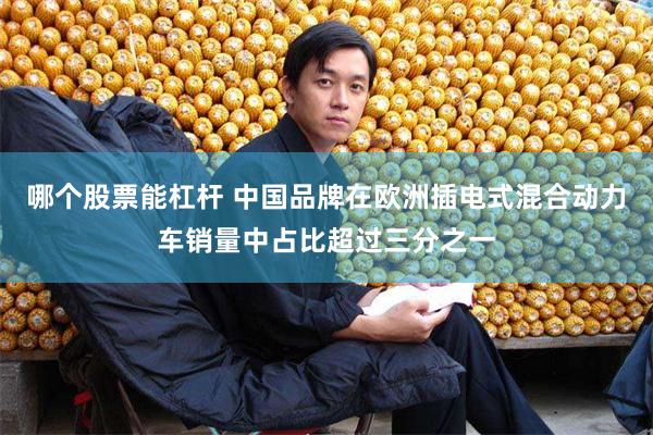 哪个股票能杠杆 中国品牌在欧洲插电式混合动力车销量中占比超过三分之一