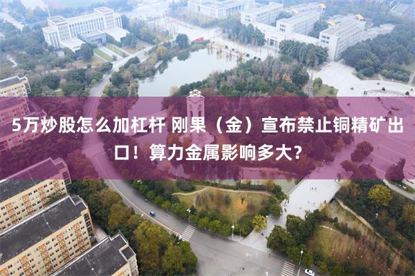 5万炒股怎么加杠杆 刚果（金）宣布禁止铜精矿出口！算力金属影响多大？