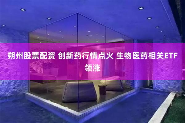 朔州股票配资 创新药行情点火 生物医药相关ETF领涨
