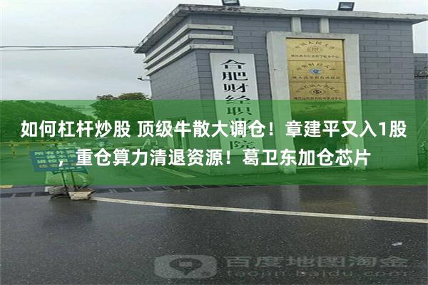如何杠杆炒股 顶级牛散大调仓！章建平又入1股，重仓算力清退资源！葛卫东加仓芯片