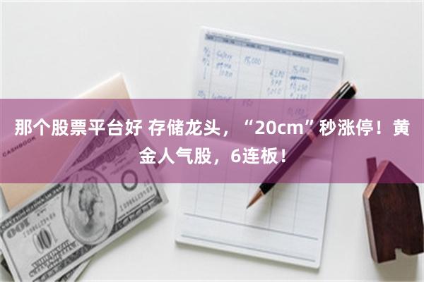 那个股票平台好 存储龙头，“20cm”秒涨停！黄金人气股，6连板！
