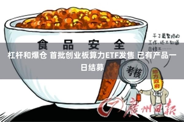 杠杆和爆仓 首批创业板算力ETF发售 已有产品一日结募