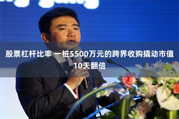股票杠杆比率 一桩5500万元的跨界收购撬动市值10天翻倍