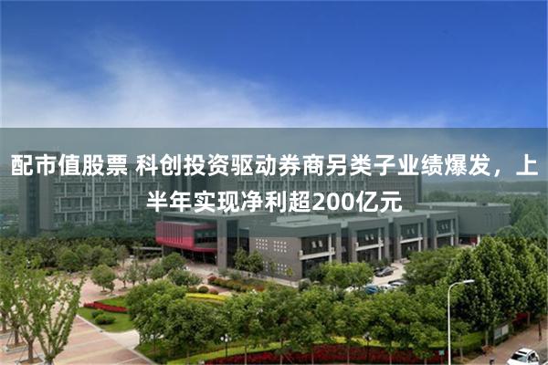 配市值股票 科创投资驱动券商另类子业绩爆发，上半年实现净利超200亿元