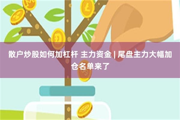 散户炒股如何加杠杆 主力资金 | 尾盘主力大幅加仓名单来了