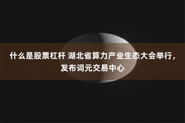 什么是股票杠杆 湖北省算力产业生态大会举行，发布词元交易中心