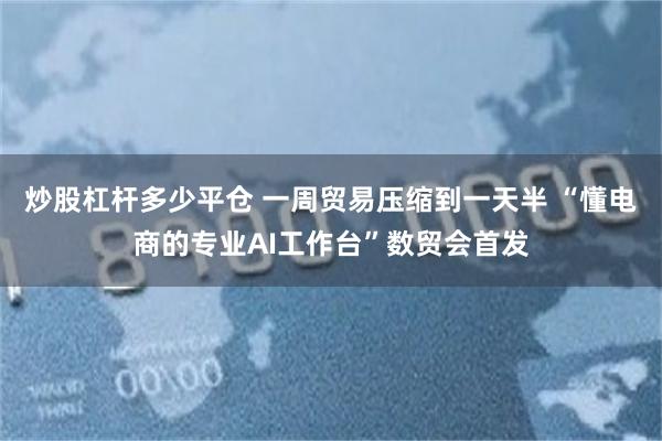炒股杠杆多少平仓 一周贸易压缩到一天半 “懂电商的专业AI工作台”数贸会首发