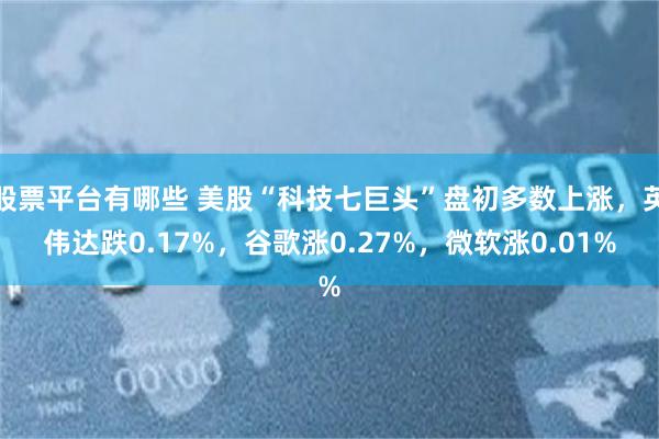 股票平台有哪些 美股“科技七巨头”盘初多数上涨，英伟达跌0.17%，谷歌涨0.27%，微软涨0.01%