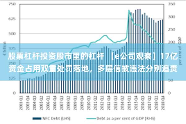 股票杠杆投资股市里的杠杆 【e公司观察】17亿资金占用双重处罚落地，多层信披违法分别追责
