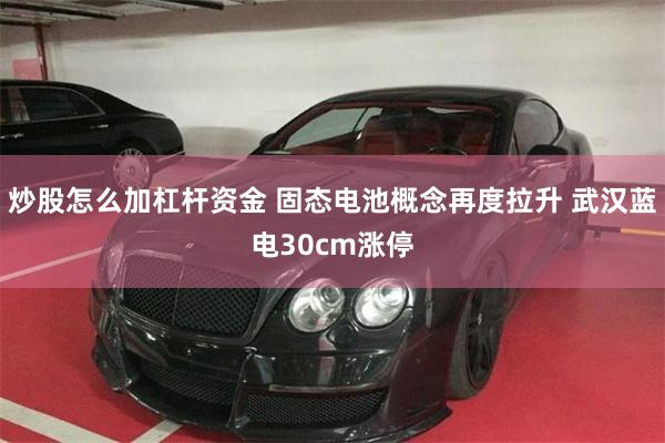 炒股怎么加杠杆资金 固态电池概念再度拉升 武汉蓝电30cm涨停