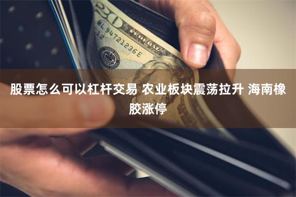 股票怎么可以杠杆交易 农业板块震荡拉升 海南橡胶涨停